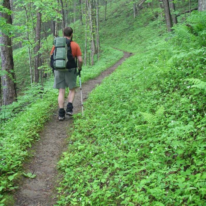 The Foothills Trail in Spring is a beautiful sight indeed! Near Foothills Trail: Sassafras Mountain, SC to Gum Gap, NC