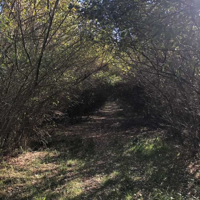 Near The Bowl