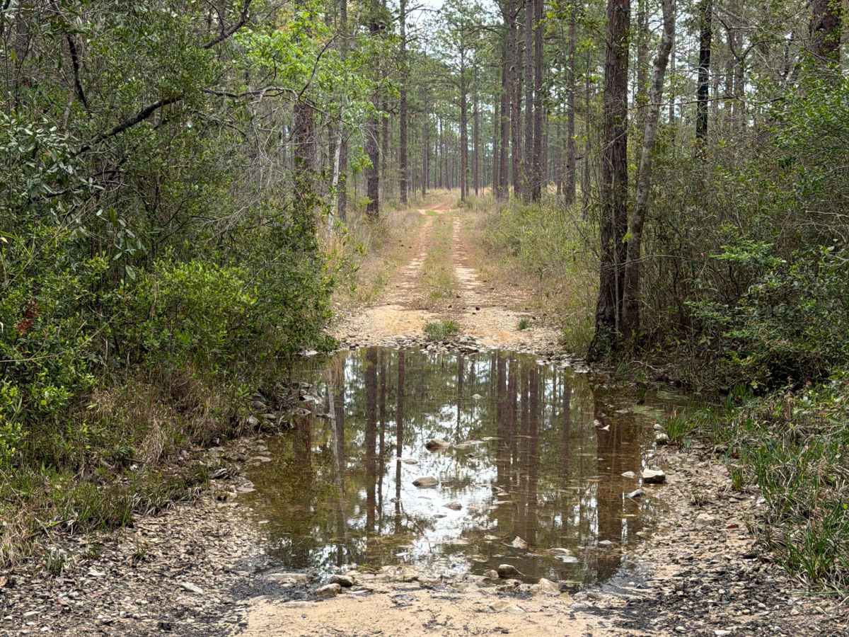 Jeff Capp Road - C133 photo 2