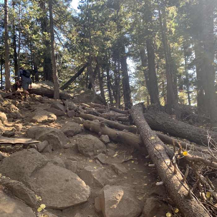 Near Kachina Trail Out-and-Back