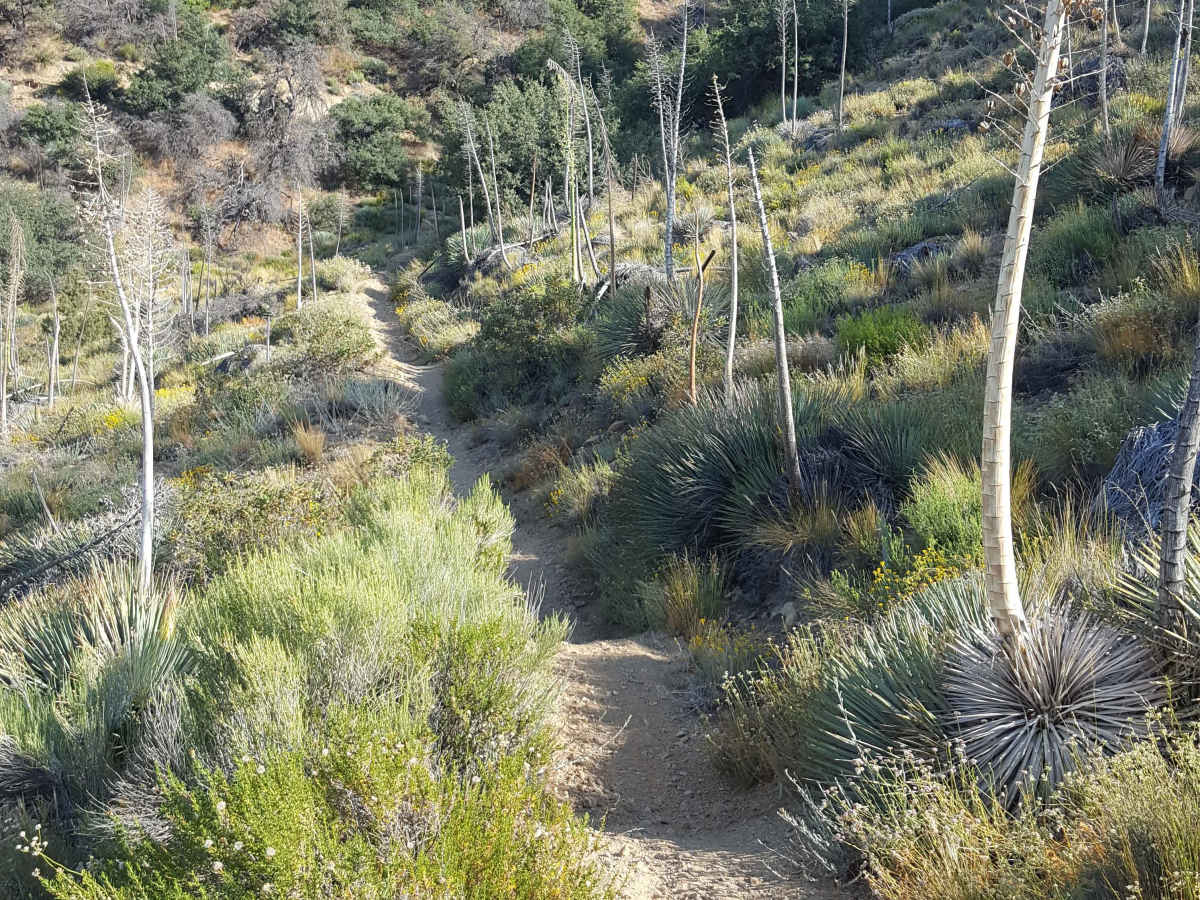 Gold Hill OHV - 19W17 photo 2