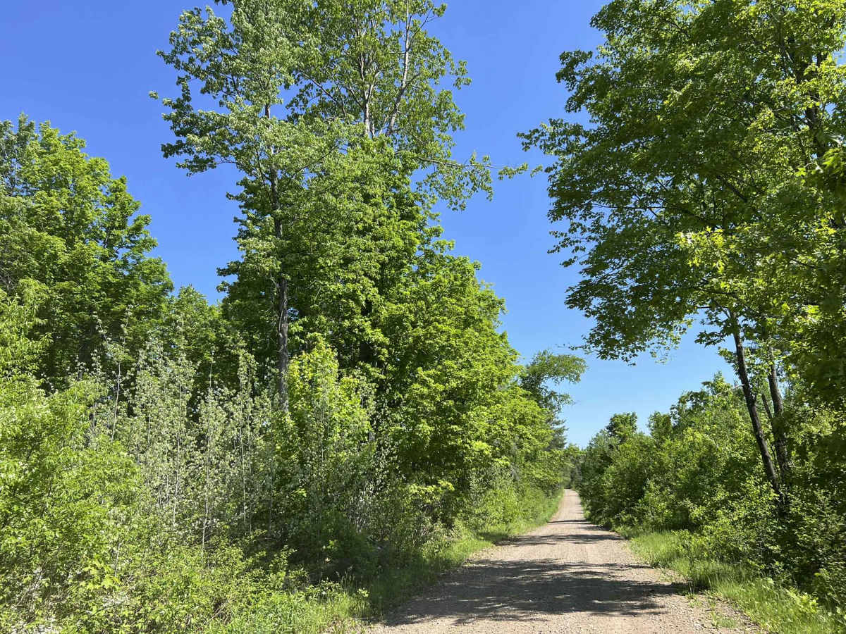 FS 2283 photo 3