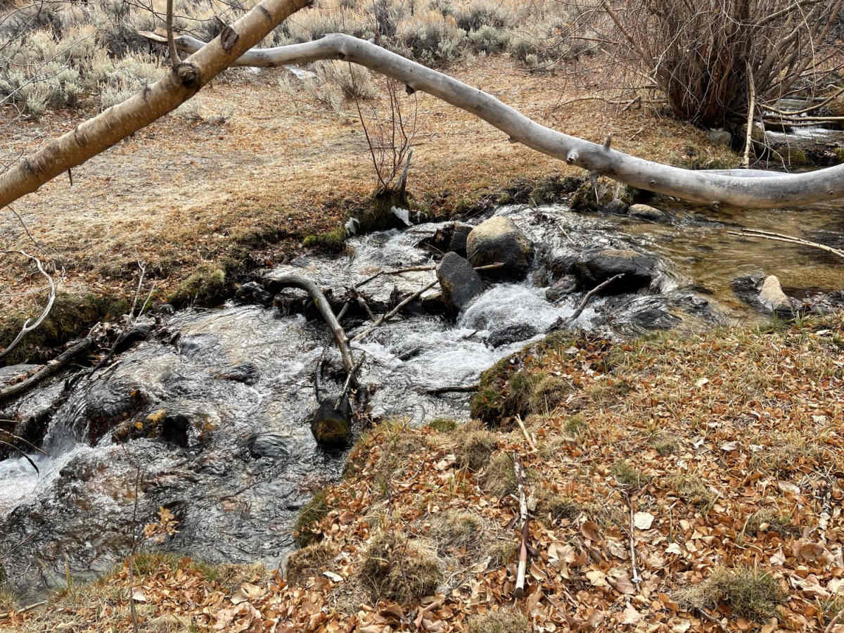 Chiatovitch Creek to Middle Creek photo 2