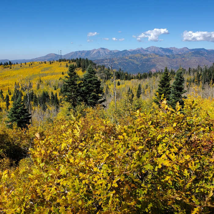 Near Missionary Ridge