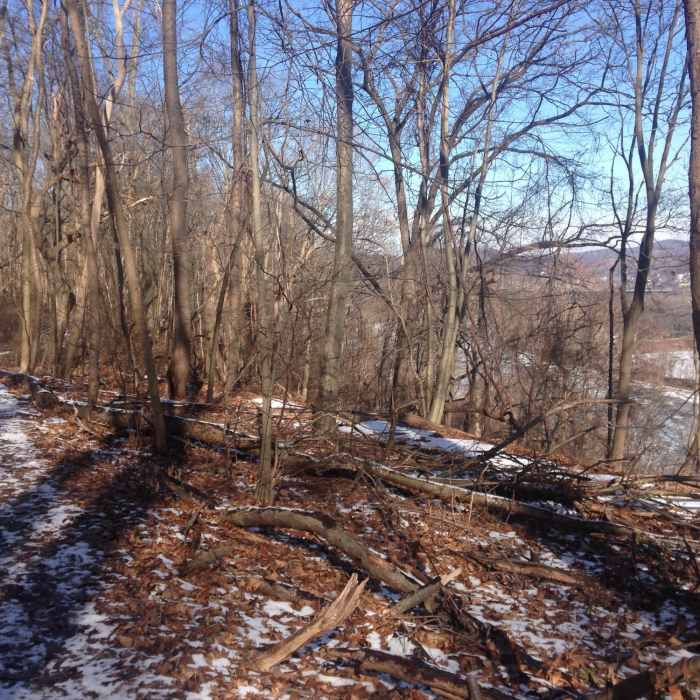 Near Rachel Carson Trail