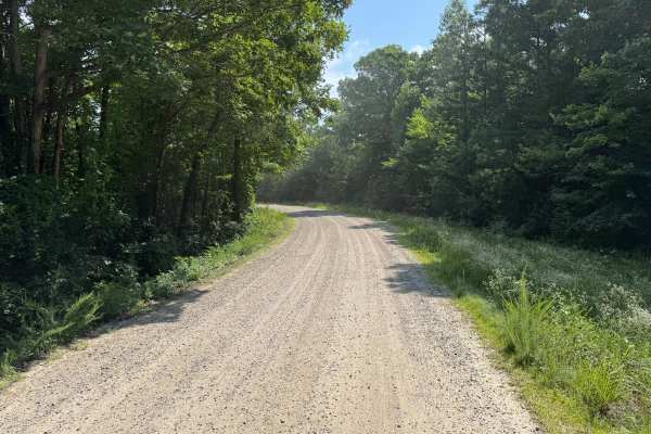 County Road 3841