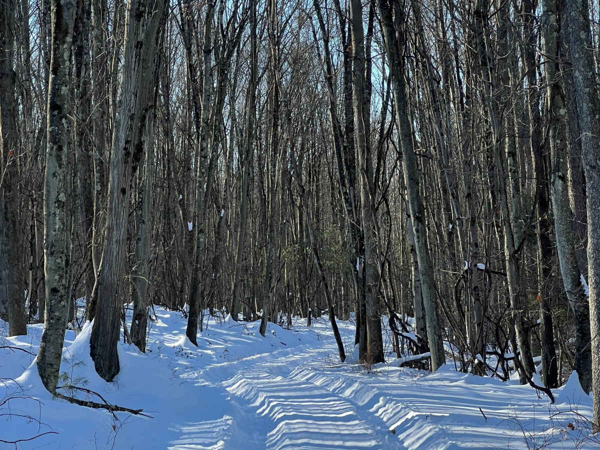 Wohlford Gap Trail photo 3