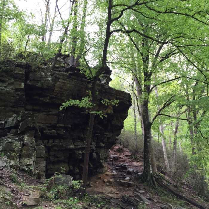 Near Allenbrook Trail