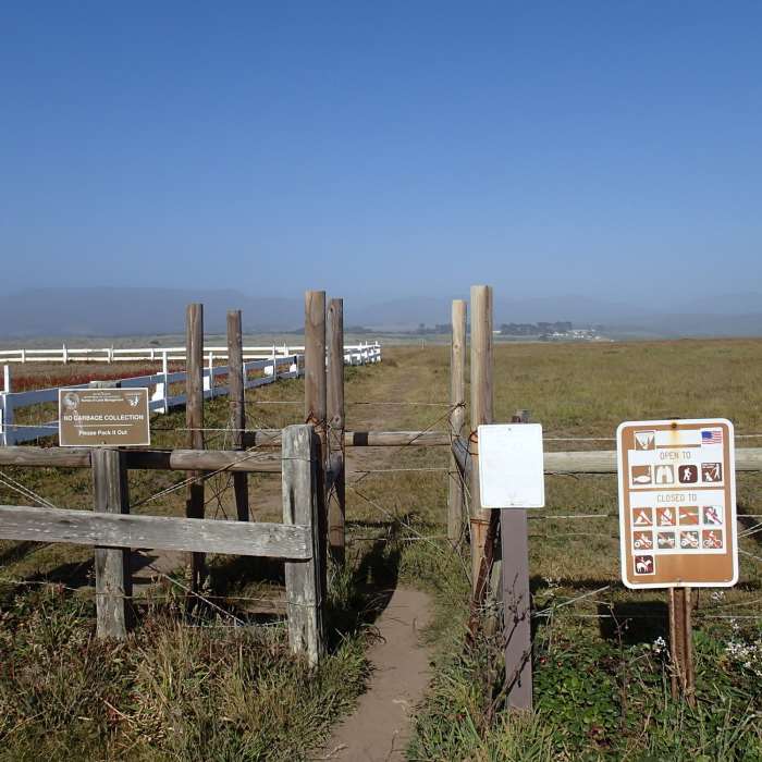 Near Lighthouse Trail