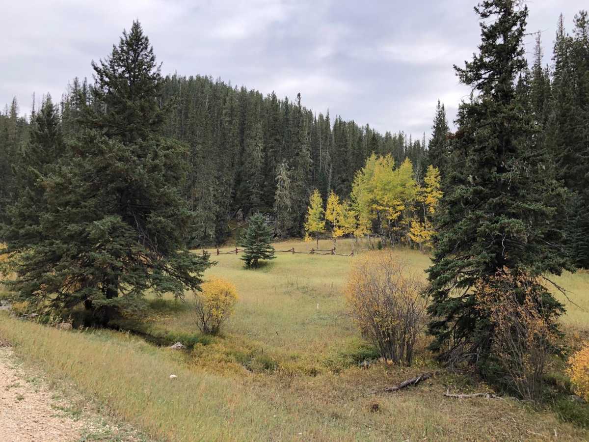 Beaver Creek Road(FS 111) photo 2