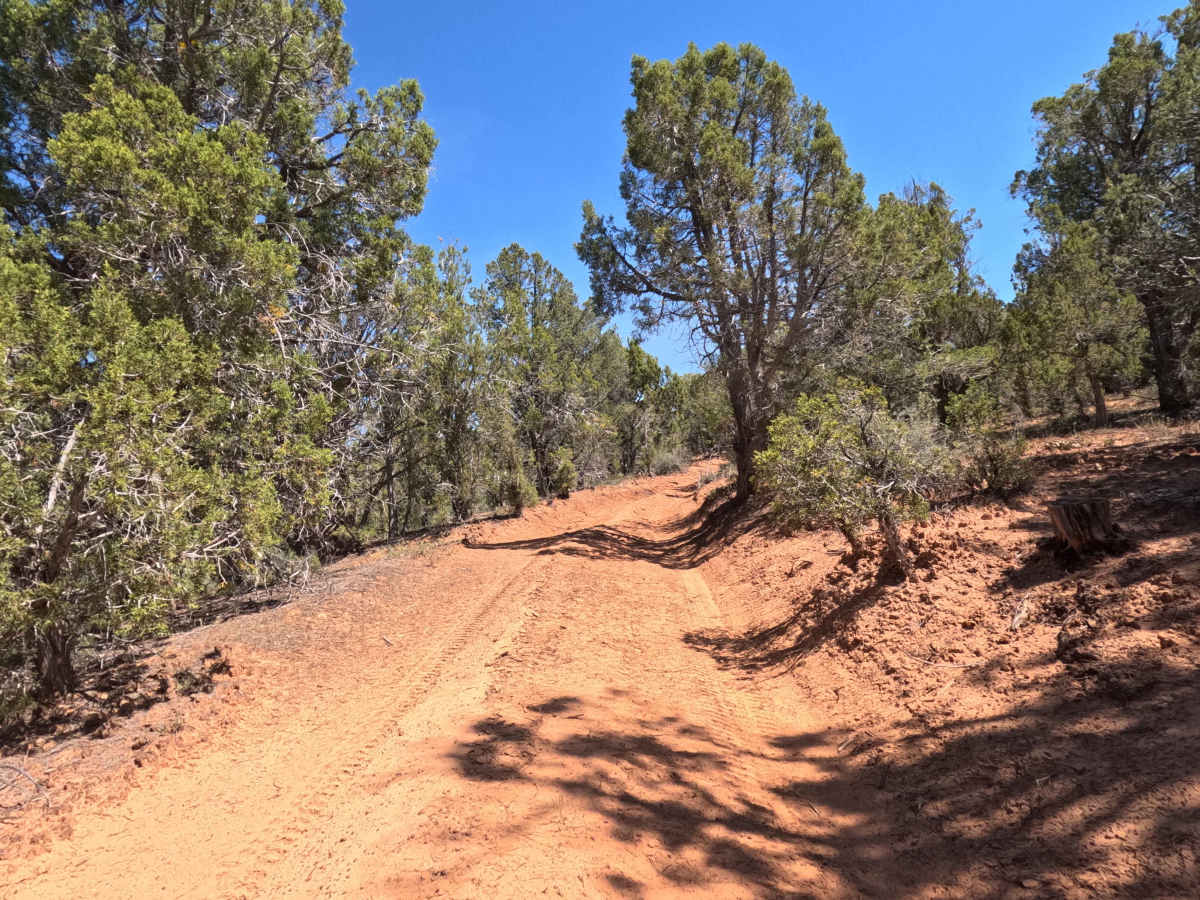 BLM 71 photo 5