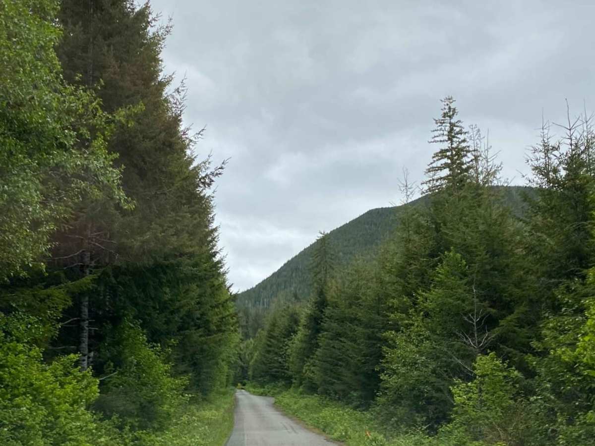 Olympic National Forest Service Road 30 photo 4