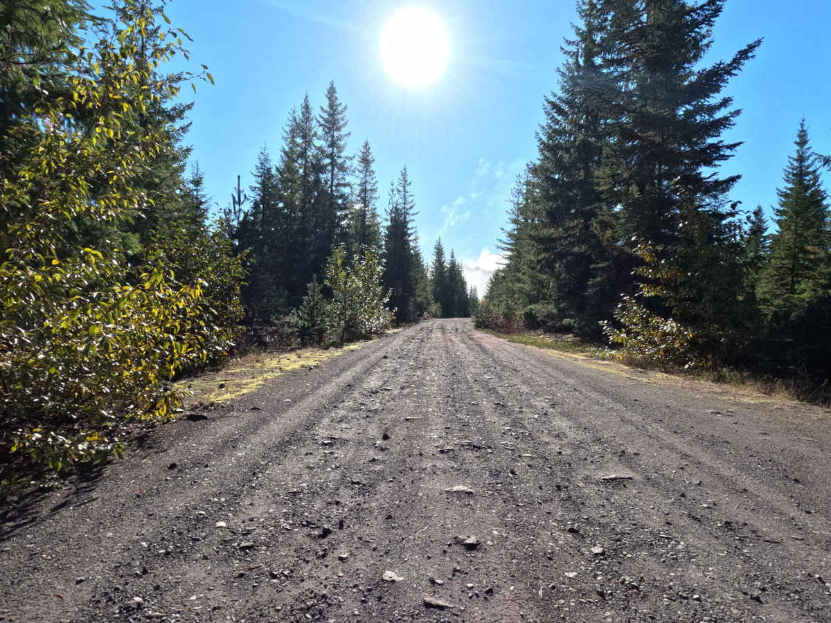 Smith Creek Trailhead - FS 8322 photo 4