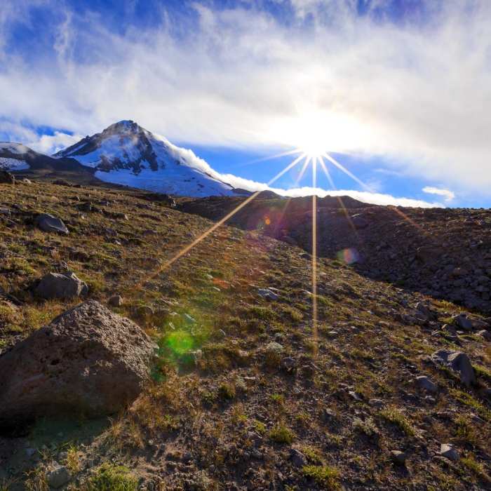 Near Timberline Trail