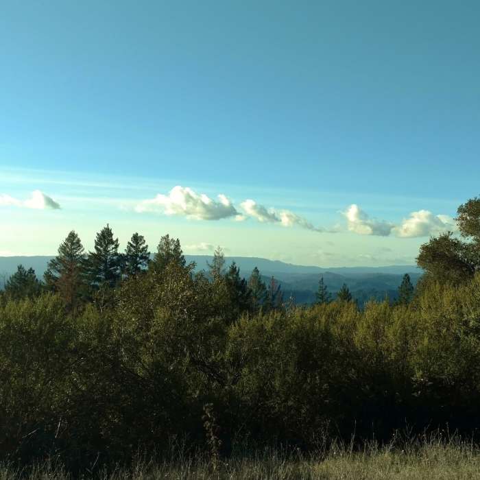 Near Ridge Trail