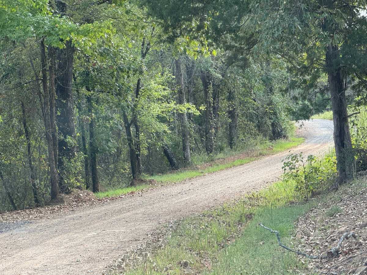 Polk Road 70 photo 5