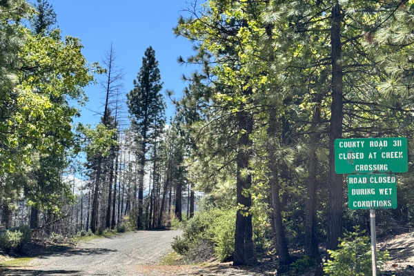 Road 311