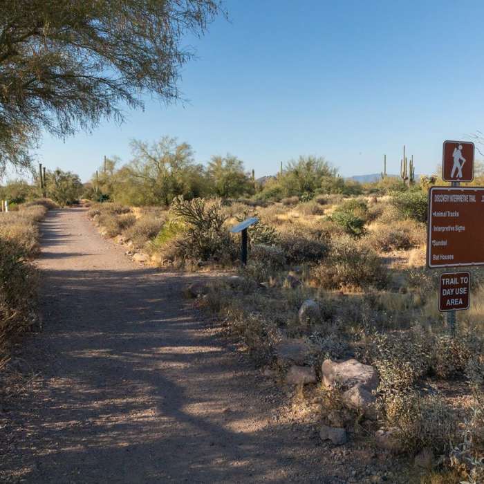 Near Discovery Trail