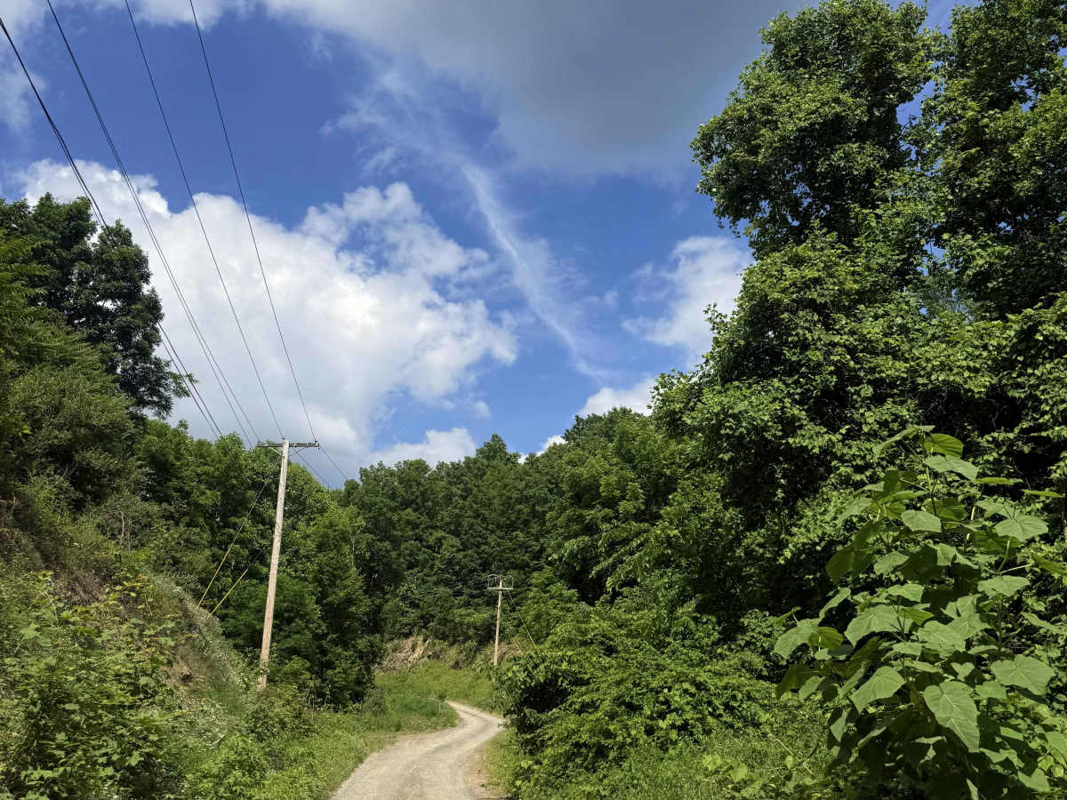 Rabbit Ridge photo 6