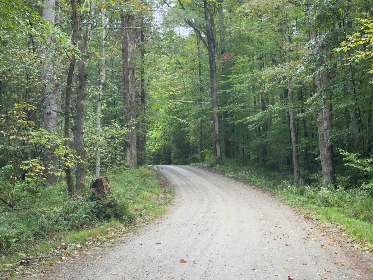 Klondike Road trail photo