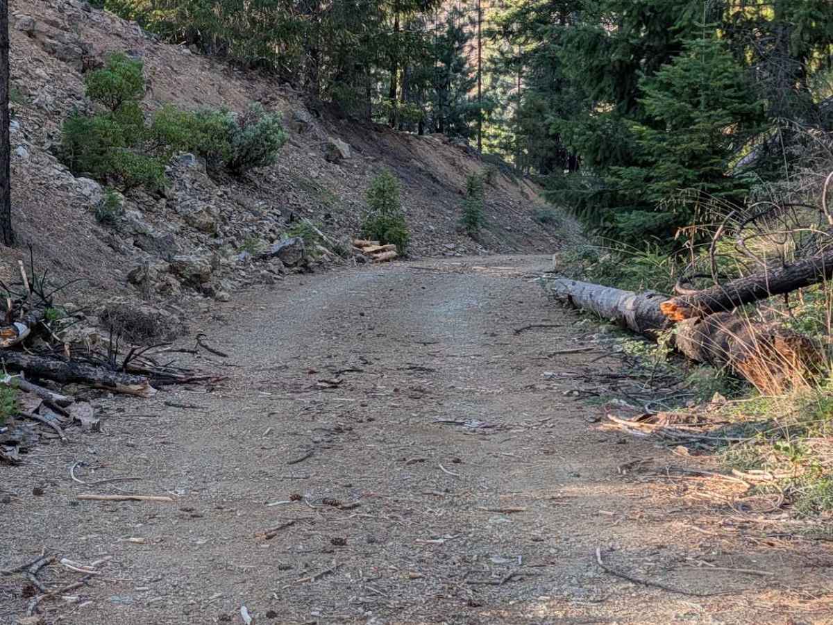 Dubakella Creek Road - FS 29N31 photo 6