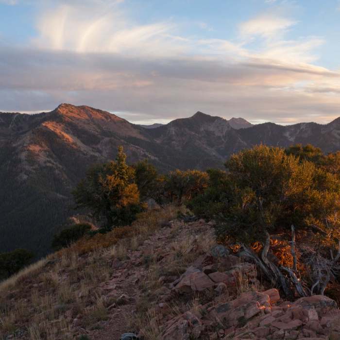 Near Mount Aire Hike