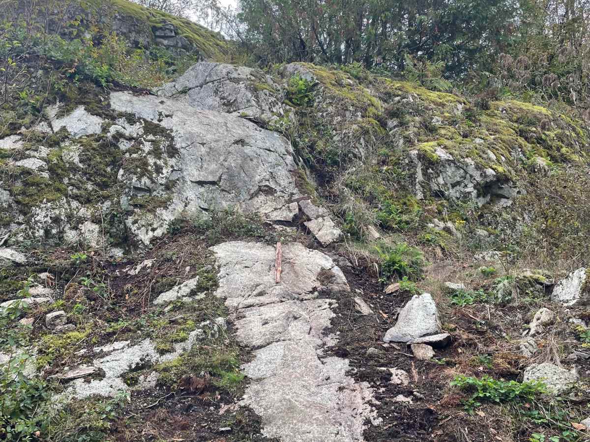 Traction Action trail photo