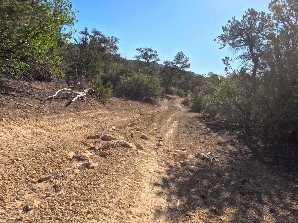 Lower Loop - BLM 73M photo 4