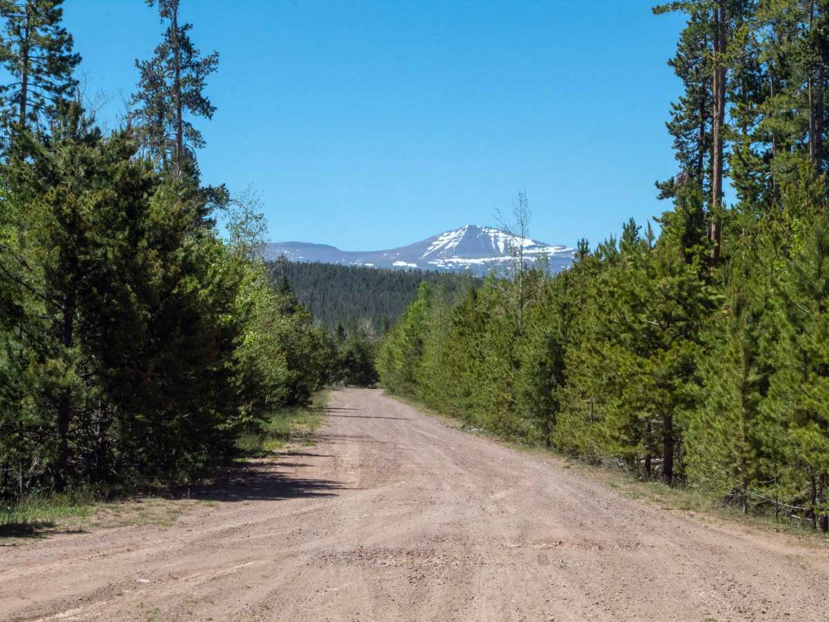 Cottonwood - FS 40013 trail photo