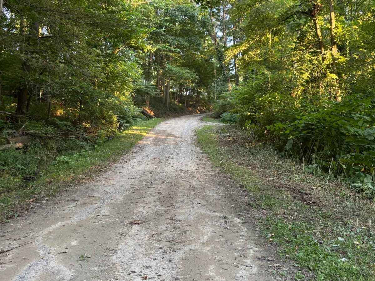 Totsline Road photo 2