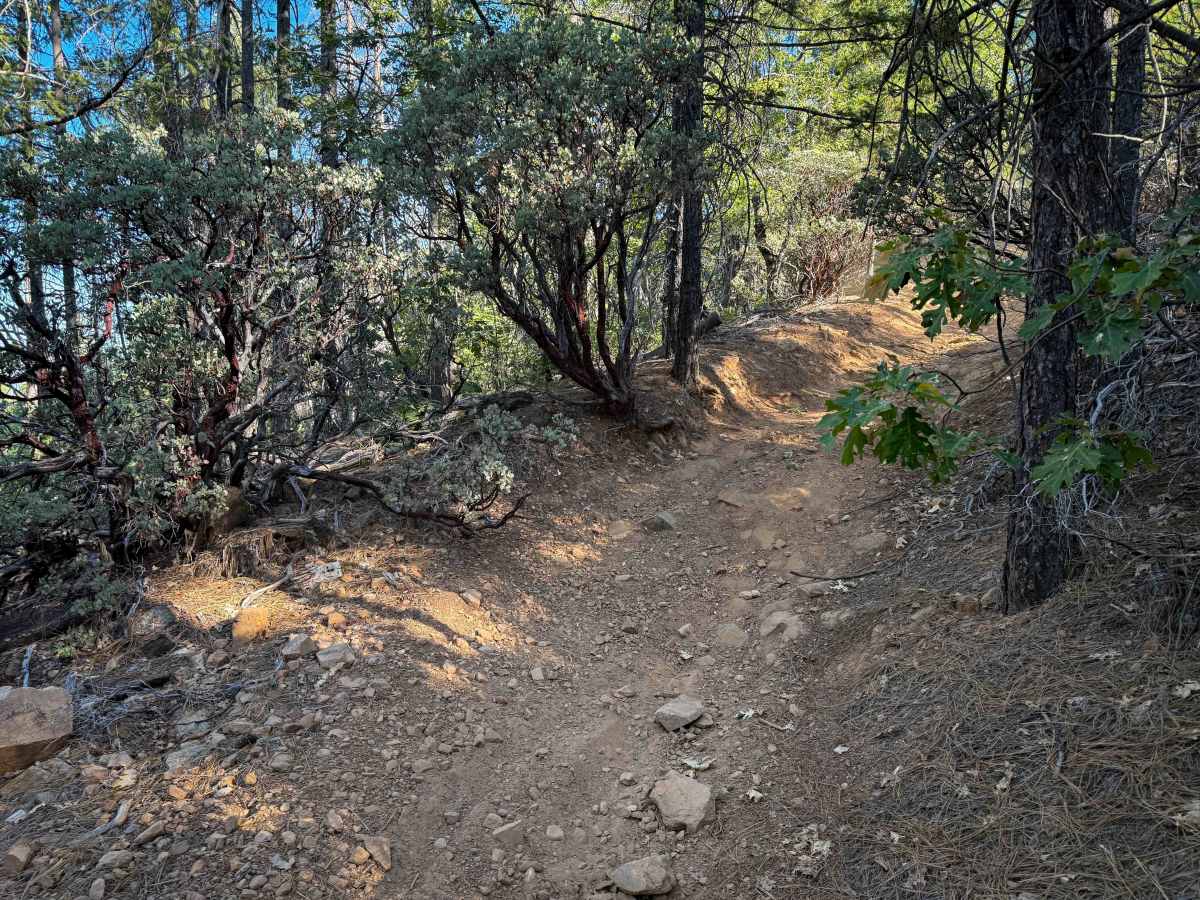 Trail 4-1 (11E35)  photo 6