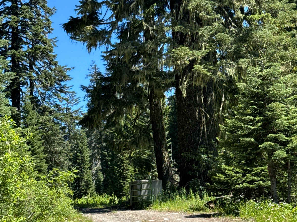 Hershberger Lookout Trail - OHV 26 photo 2