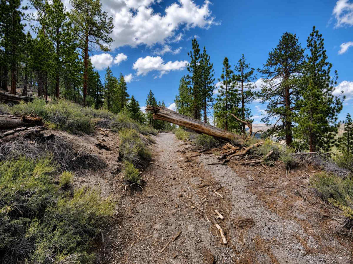 Hartley Spur Trail photo 4