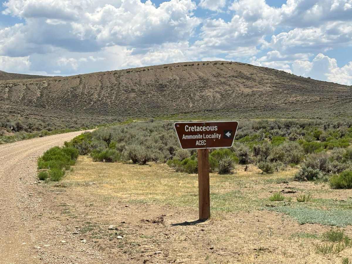 Kremmling Cretaceous Ammonite Locality Access photo 3