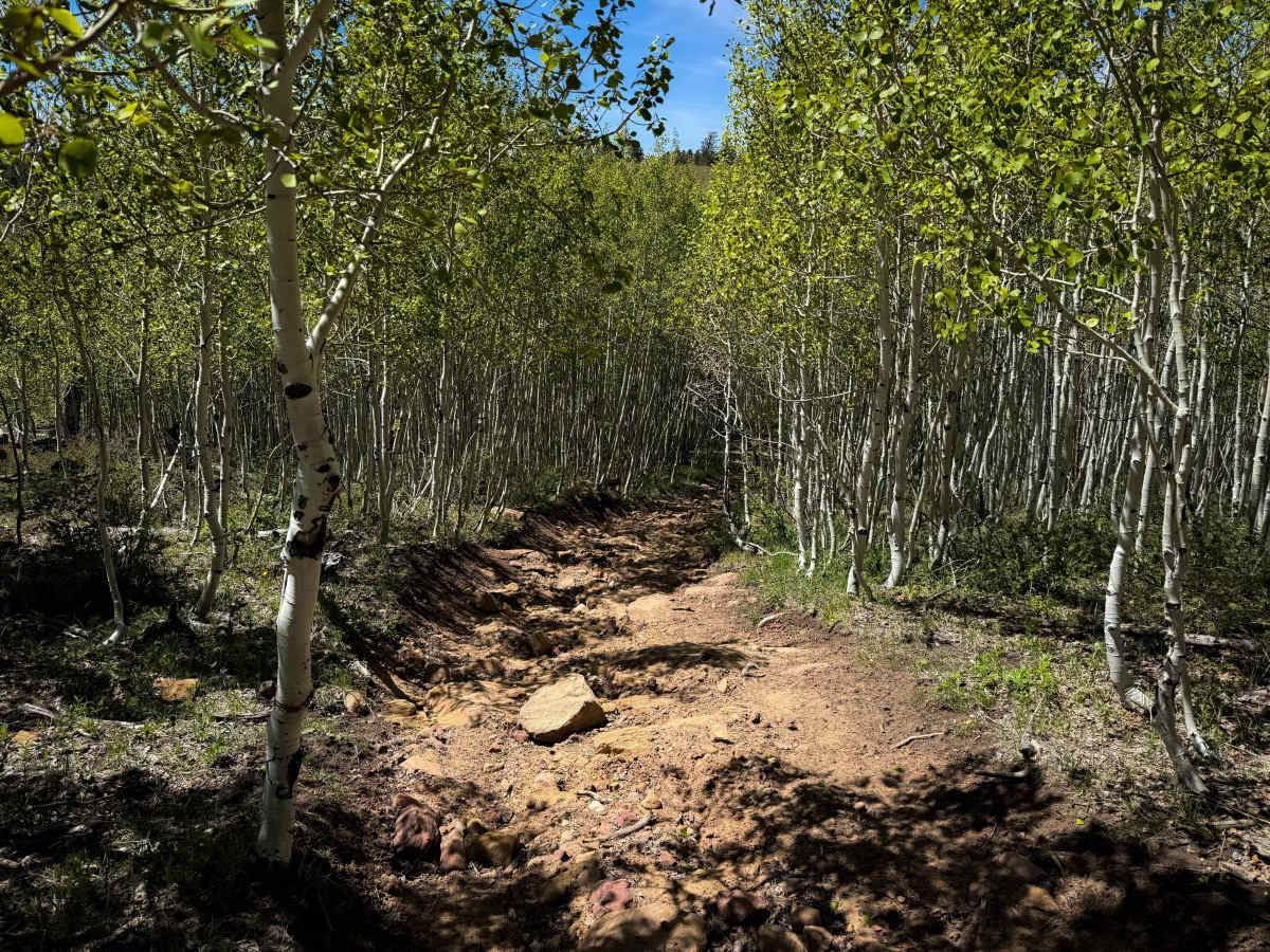 Upper 2 Mile Loop   photo 2