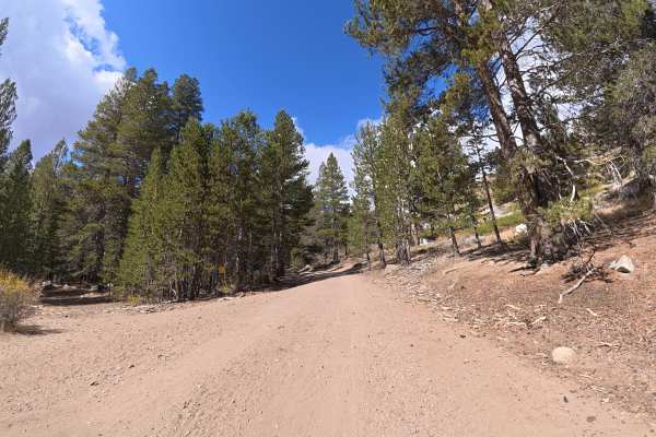 Wolf Creek Spur Road
