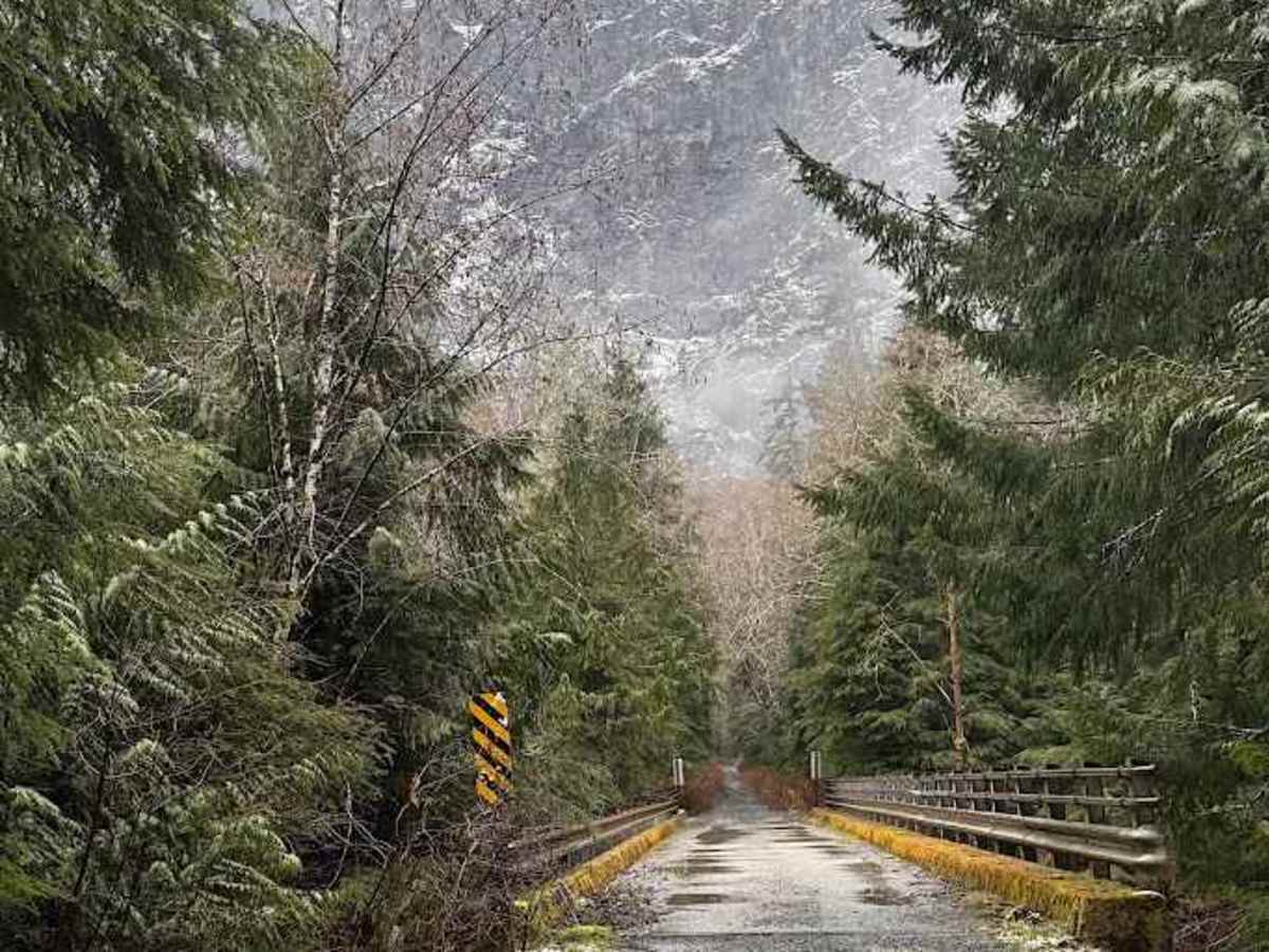 North Fork Road - FS 573 trail photo