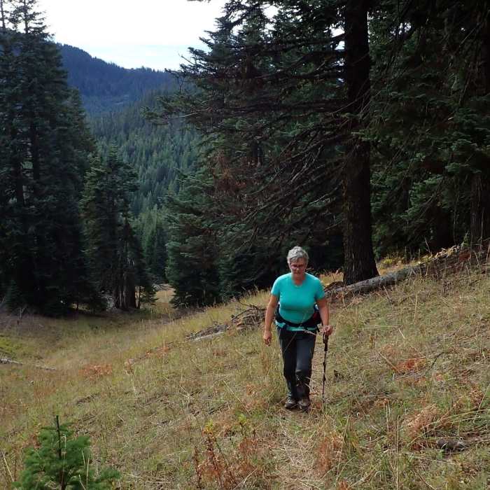 Near Rattlesnake Way Trail #1497