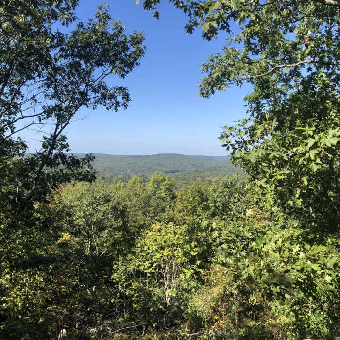 Near Yellow Trail