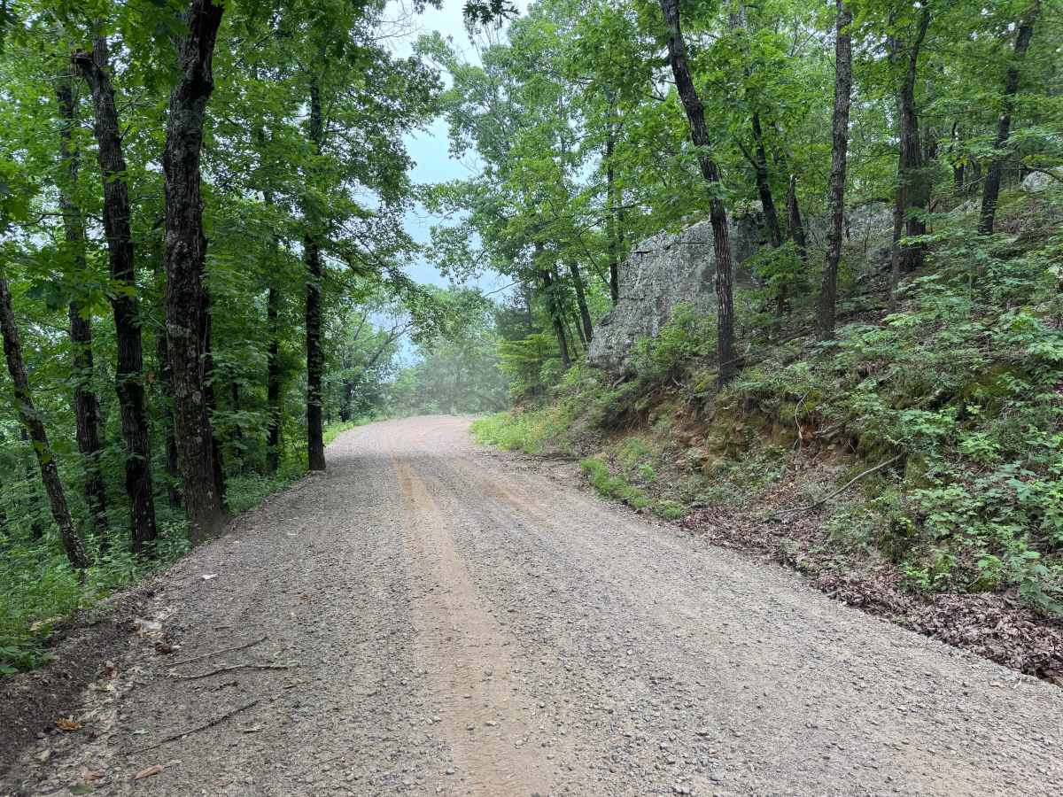 County Road 3091 photo 5