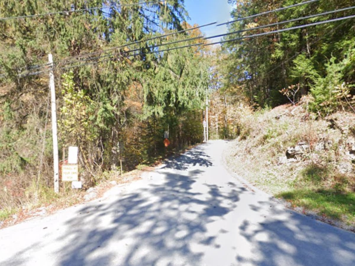 Truman Run Road photo 3