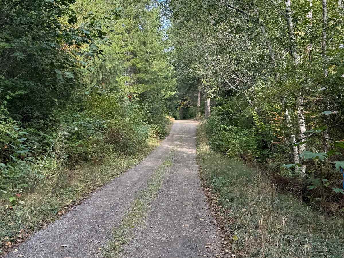 Saddle Mountain Road photo 4