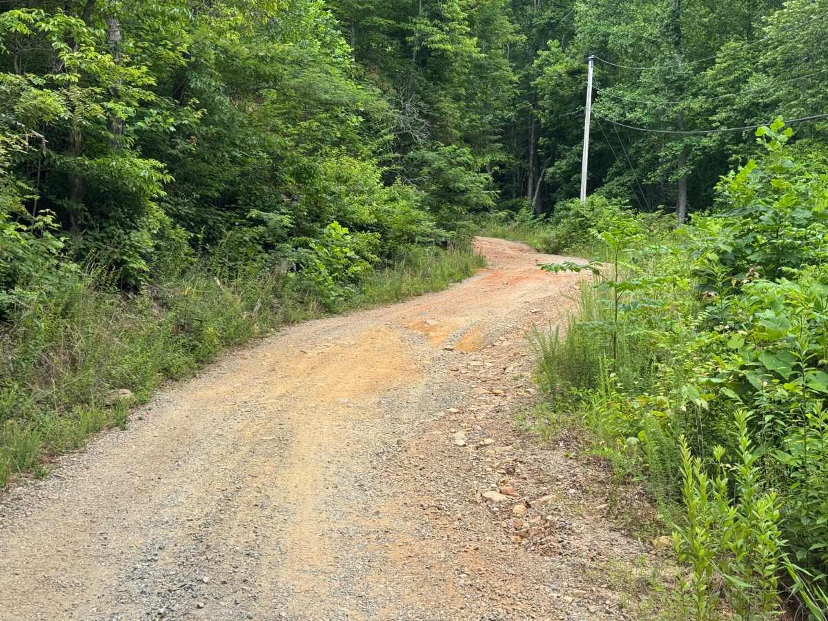 Charlies Creek Road photo 2