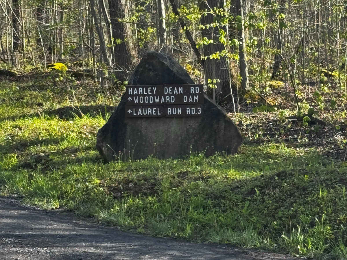 Harley Dean Road photo 4