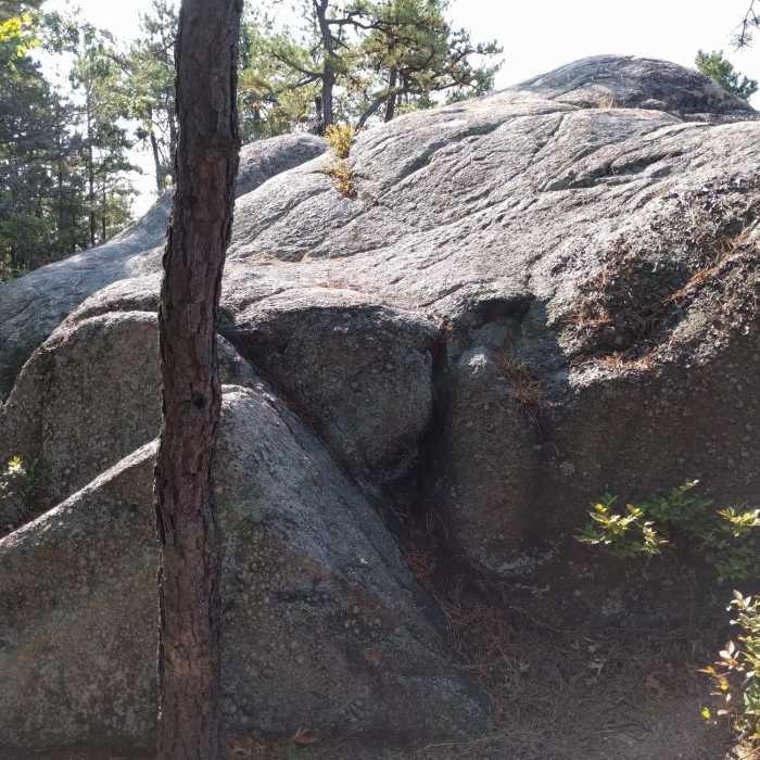 Near Espresso Trail North