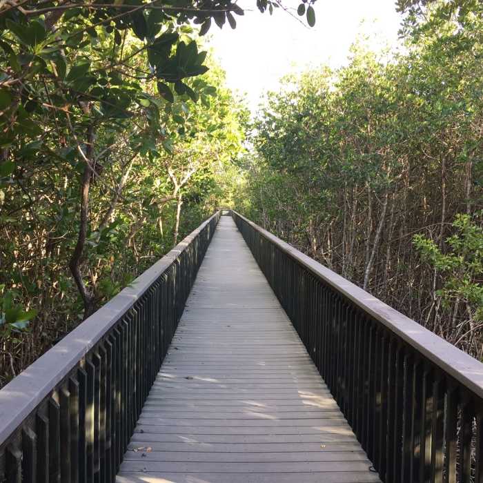 Near Lagoon Greenway Trail