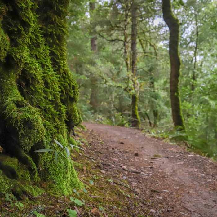 Near Achistaca to Saratoga Gap Loop