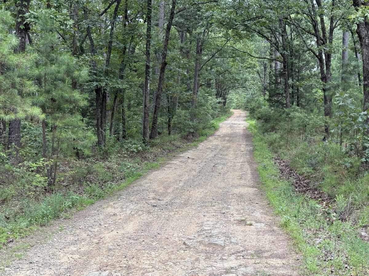 Polk County Road 36 photo 4