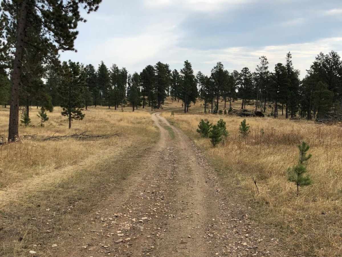 White House Gulch FS RD 477 photo 2