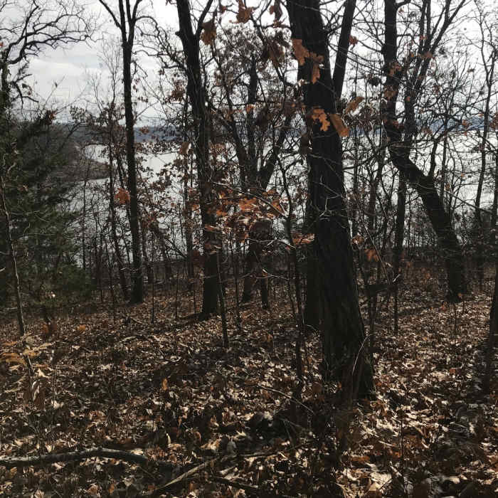 Lake view Near Berry Bend West
